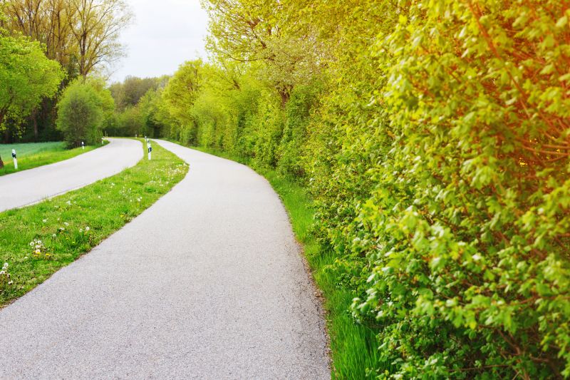 Asphalt Pathway Installation